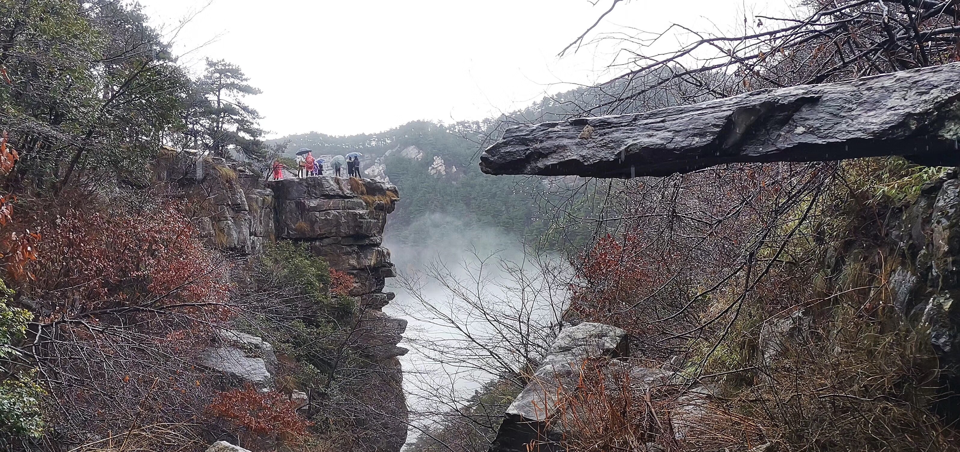 惊险绝处逢生！胜者拔得头筹的简单介绍